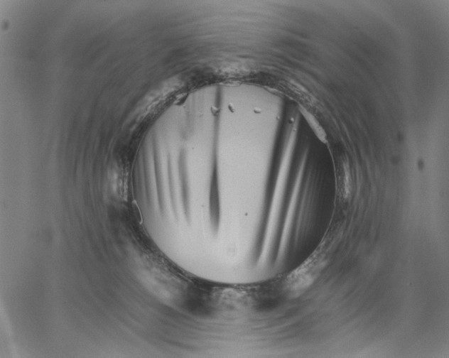 X0000066080180200604071741