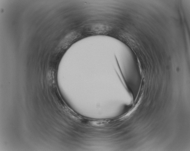 X0000066080182200604071741