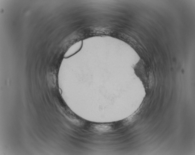 X0000066080183200604071741