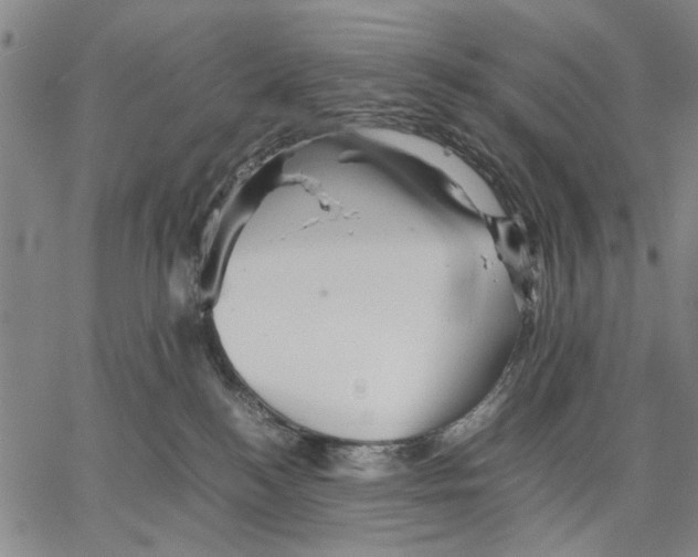 X0000066080184200604071741