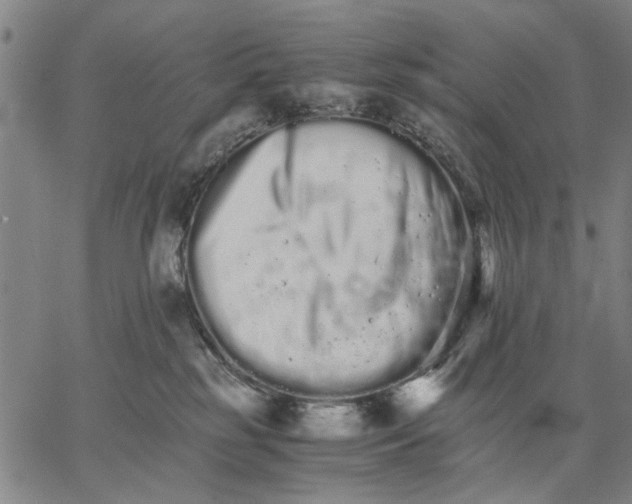 X0000066080185200604071741