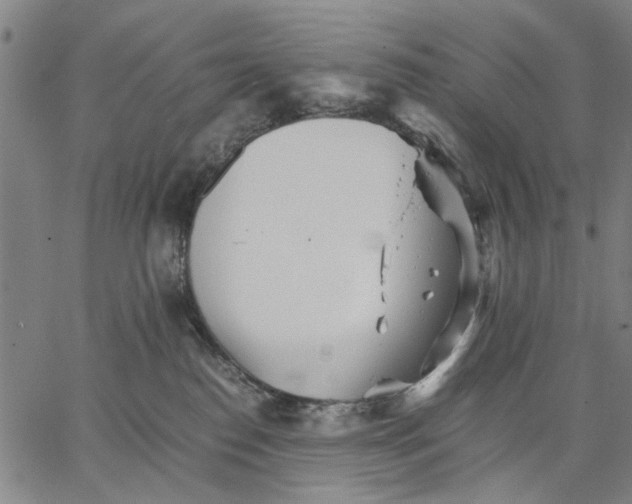 X0000066080186200604071741