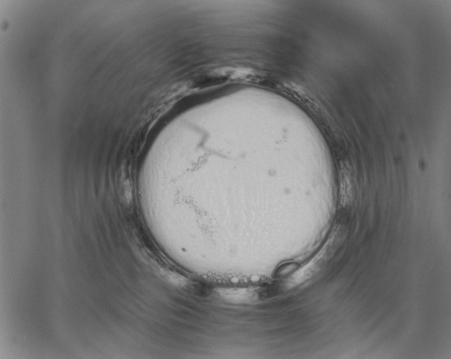 X0000066080187200604071741