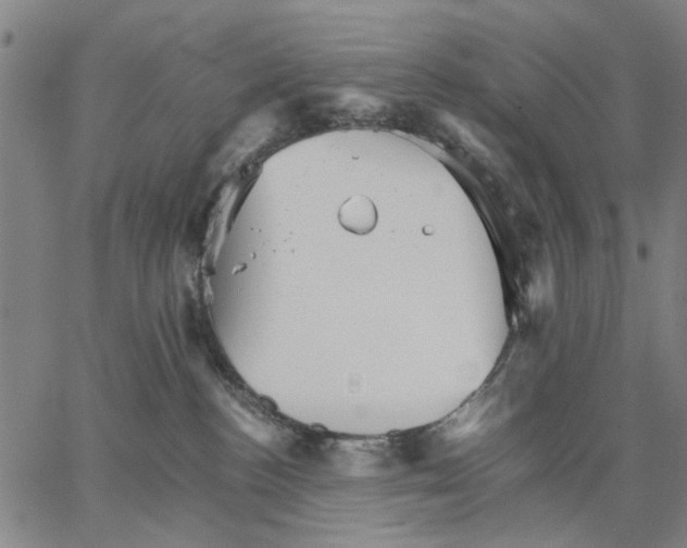 X0000066080188200604071741