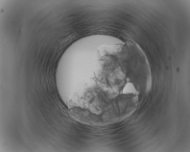 X0000066080189200604071741