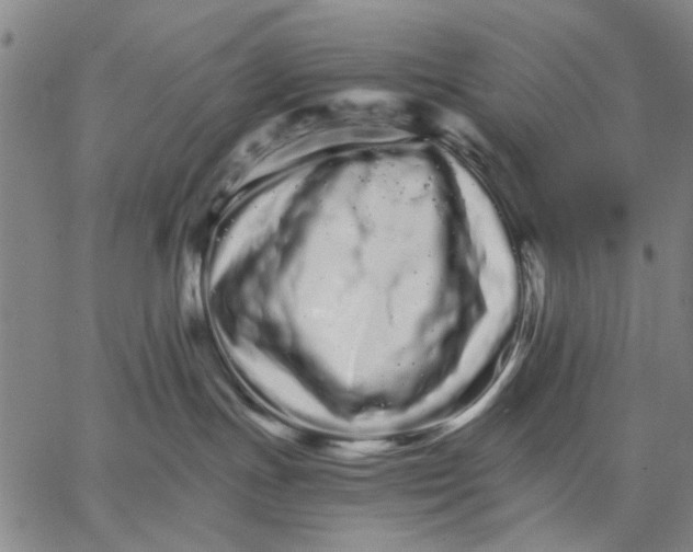 X0000066080191200604071741