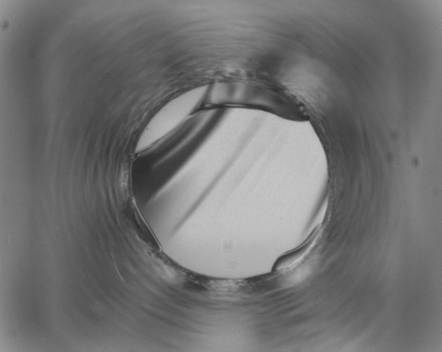 X0000066080192200604071741