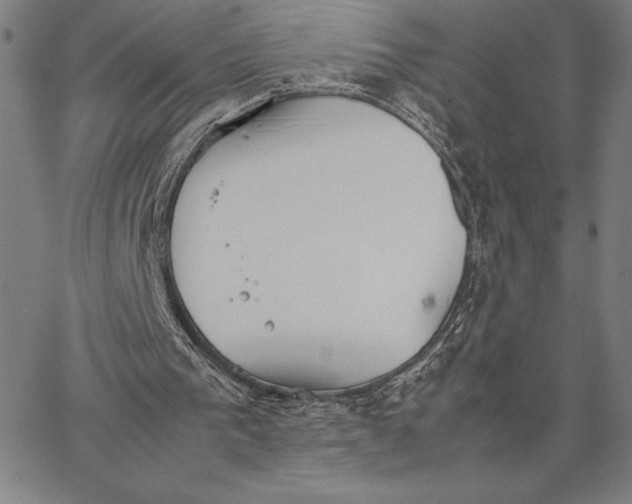 X0000066080193200604071740