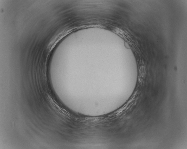 X0000066080194200604071740