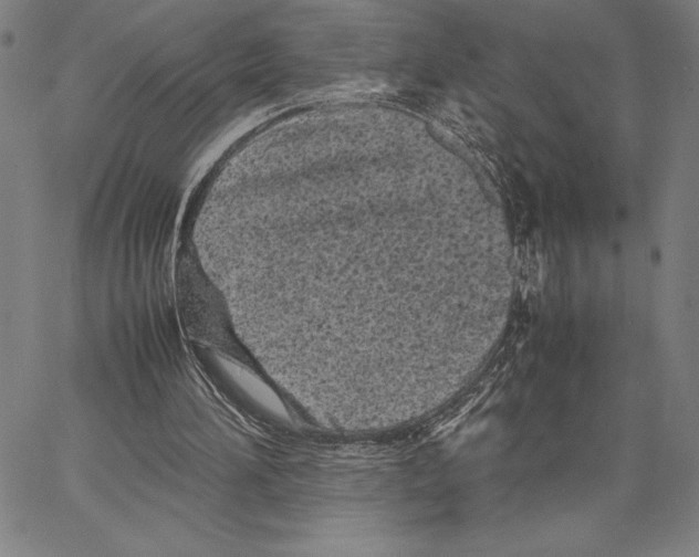 X0000066080196200604071740