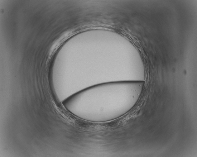 X0000066080197200604071740