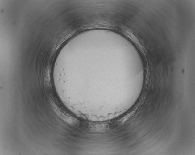 X0000066080202200604071740