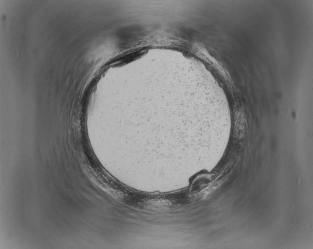 X0000066080203200604071740