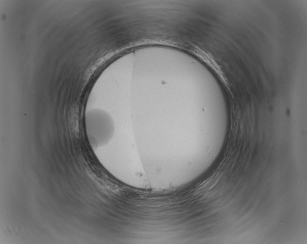 X0000066080204200604071740