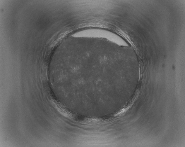 X0000066080205200604071740