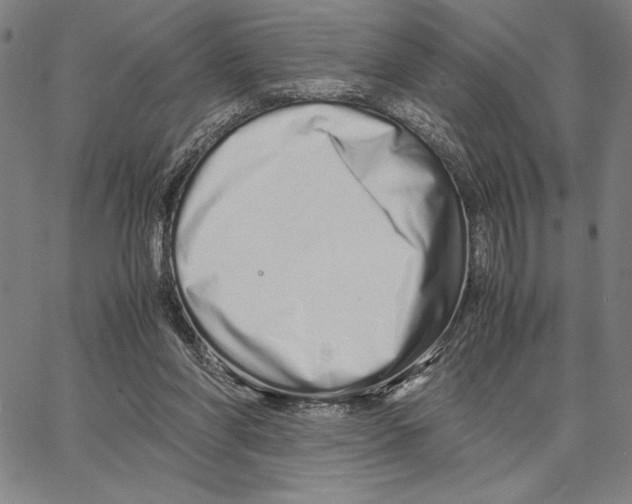 X0000066080206200604071740