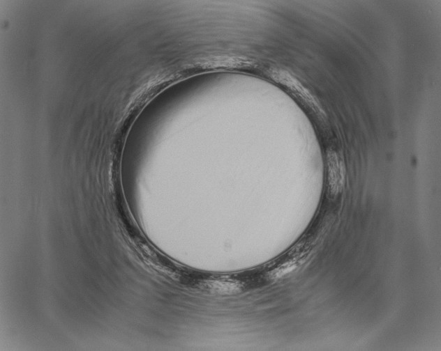 X0000066080207200604071740