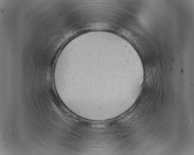 X0000066080208200604071740