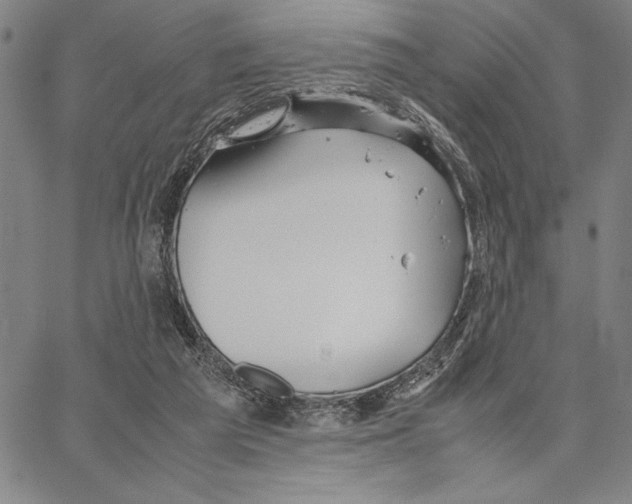 X0000066080209200604071740