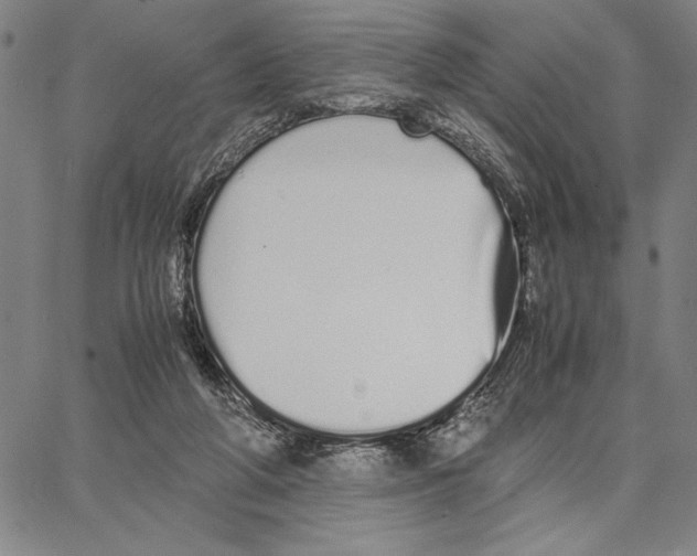 X0000066080210200604071740