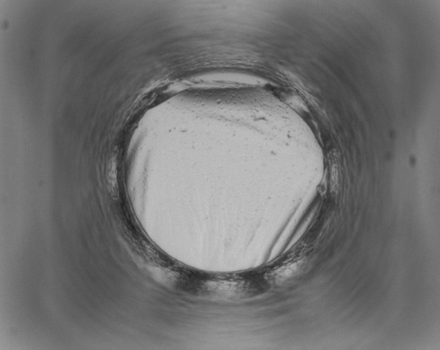 X0000066080211200604071740