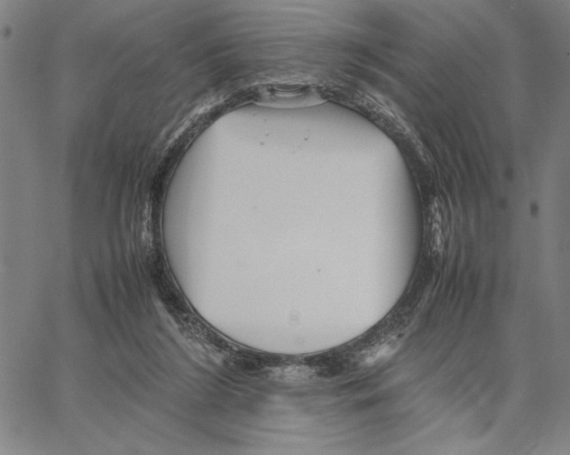 X0000066080212200604071740