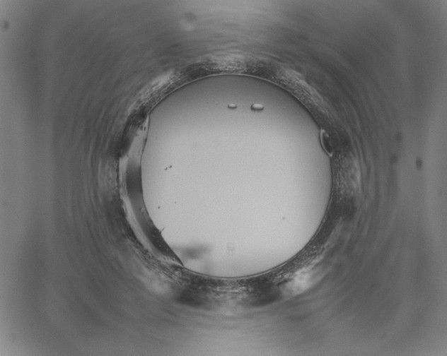 X0000066080213200604071740