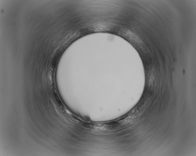 X0000066080214200604071740