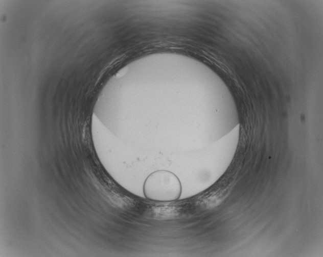 X0000066080216200604071740