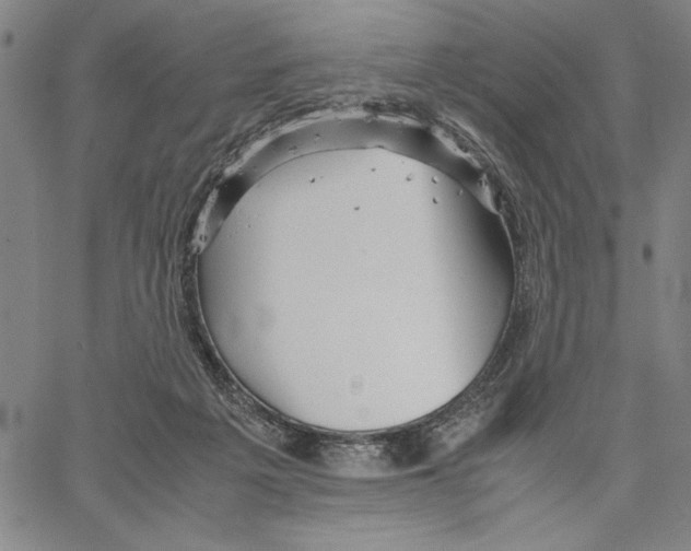 X0000066080217200604071740