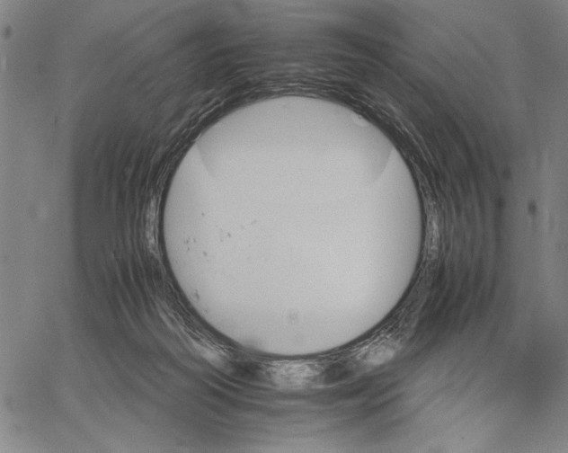 X0000066080218200604071740