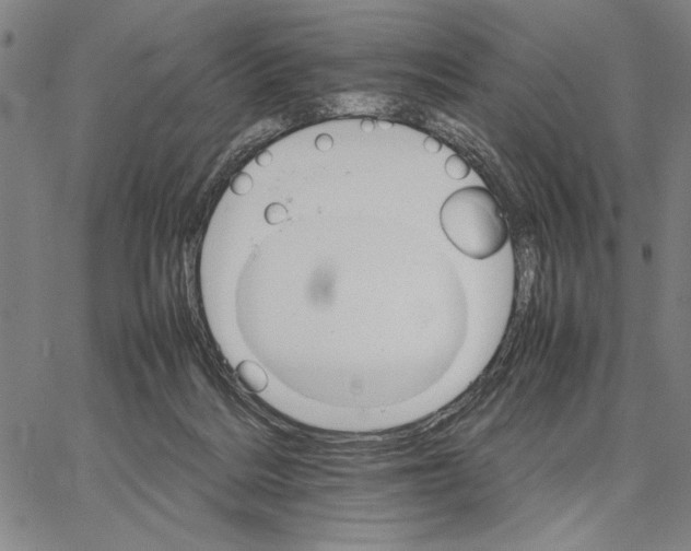 X0000066080220200604071740