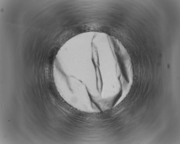 X0000066080222200604071740