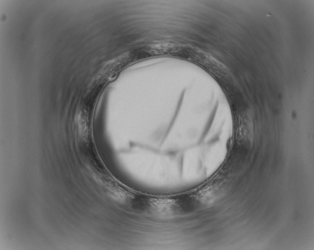 X0000066080226200604071740