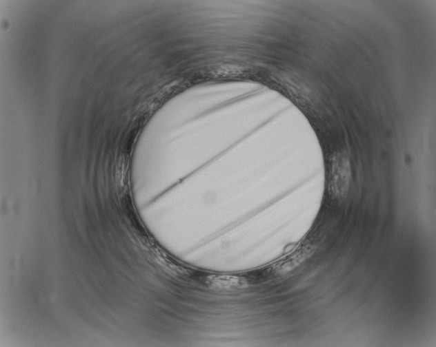 X0000066080230200604071740