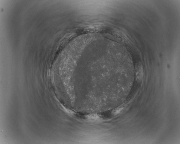 X0000066080231200604071740