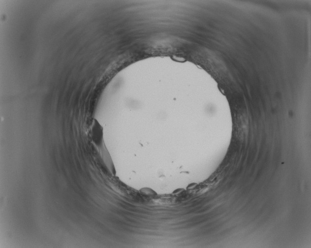 X0000066080232200604071740