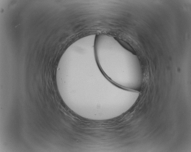 X0000066080233200604071740