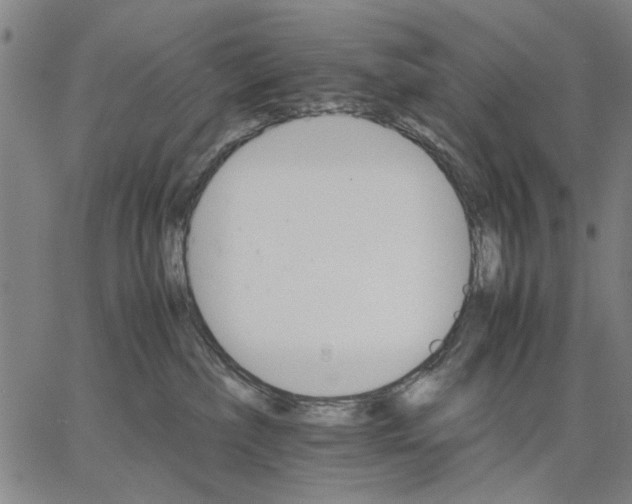 X0000066080236200604071739