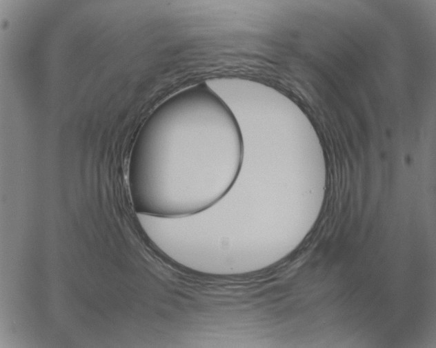 X0000066080237200604071739