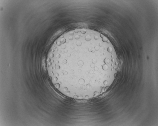 X0000066080238200604071739