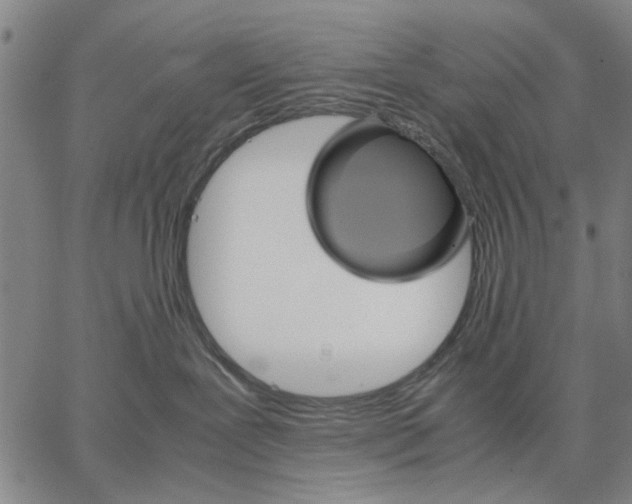 X0000066080239200604071739