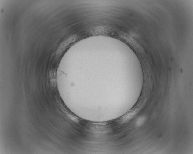 X0000066080240200604071739