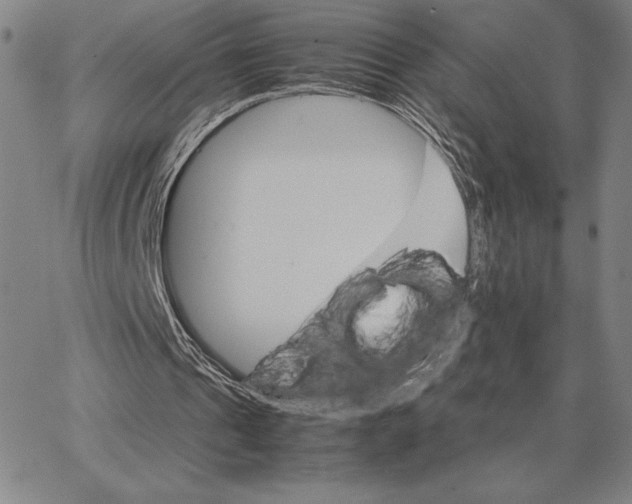 X0000066080241200604071739