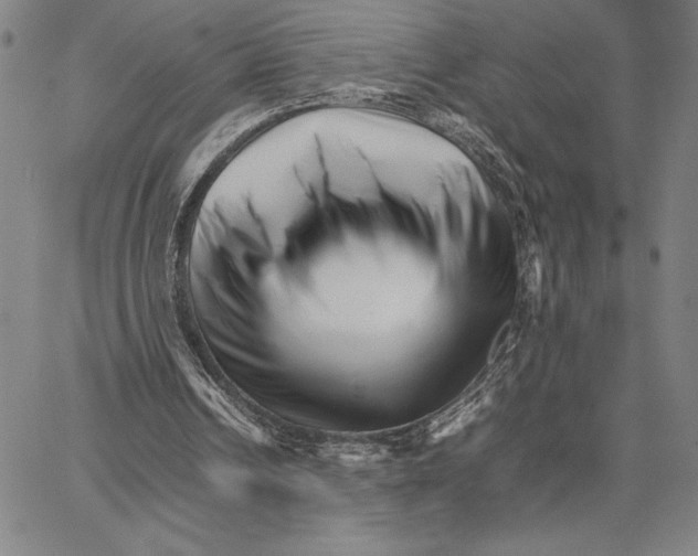 X0000066080242200604071739