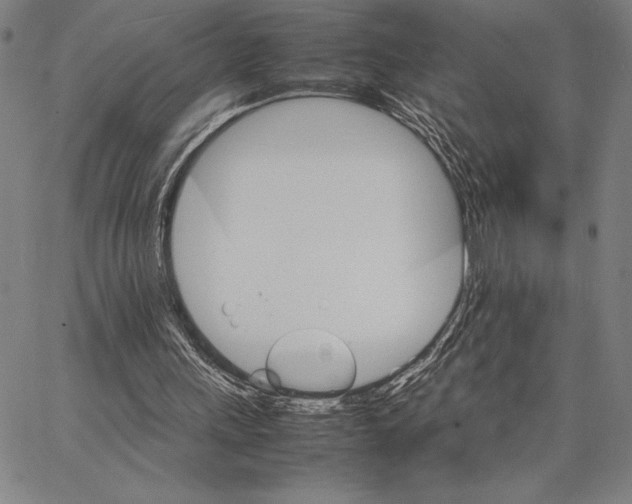 X0000066080243200604071739