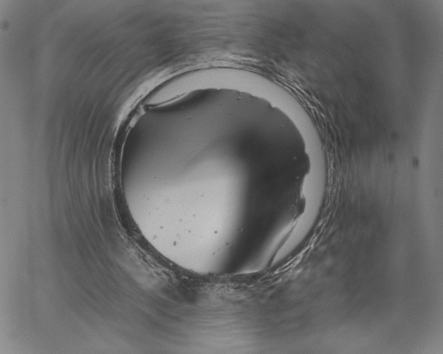 X0000066080244200604071739