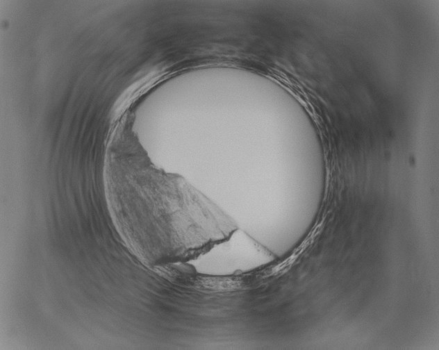 X0000066080245200604071739