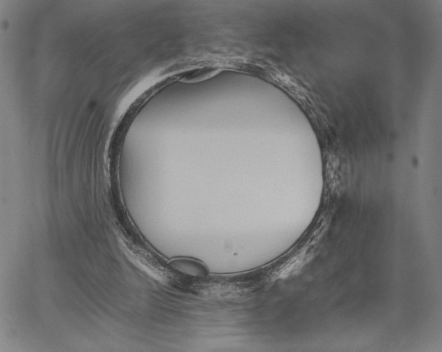 X0000066080246200604071739