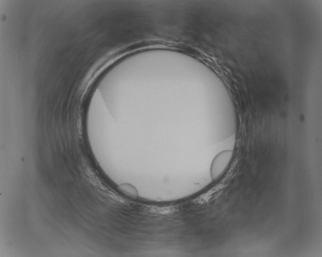 X0000066080247200604071739